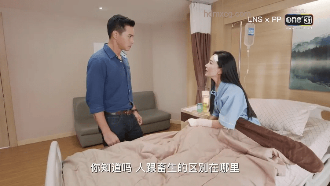 《醬園弄》引領影視新風尚：大女主大男主時代來臨？