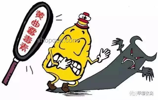 學校圍墻倒塌致祖孫二人身亡：責任界定與預防措施深度分析