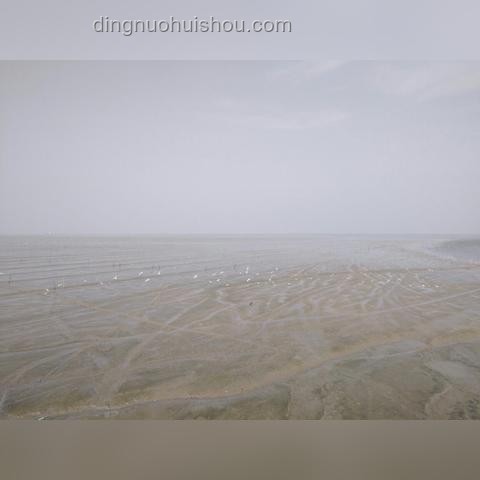 連云港隊(duì)1比1戰(zhàn)平蘇州隊(duì)：深度比賽分析與趨勢(shì)展望