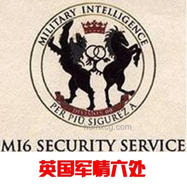 胡塞武裝聲明：高層安全無虞，集體暗殺傳聞不實????