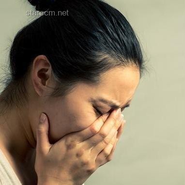 《長安荔枝》：職場生存新解，跨界共鳴的創新密碼