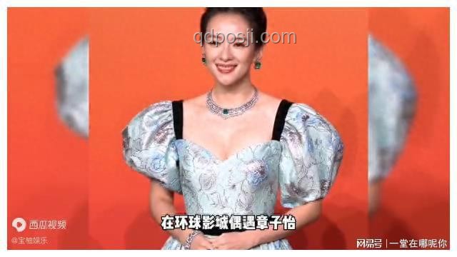 章子怡攜9歲女兒醒醒亮相上影節案例研究