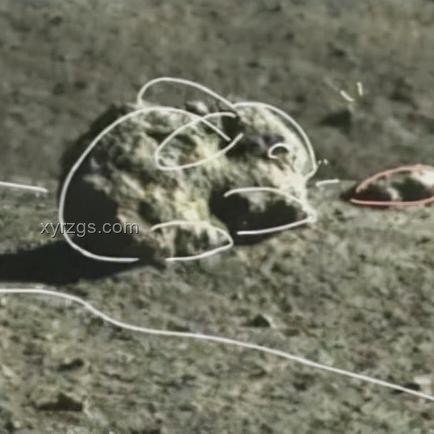 玉兔二號超長續航之謎：跨界創新與持續優化的奇跡
