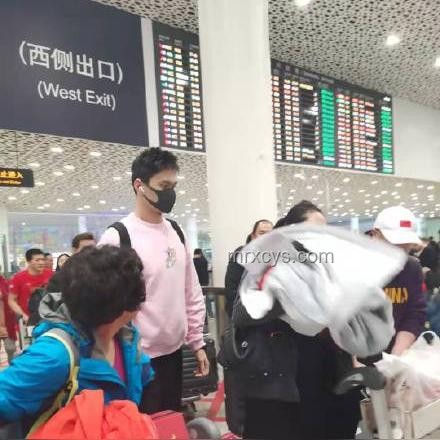 游泳：低門檻運動的全面解析