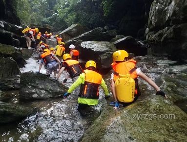 現實版小石潭記：自然美景數字化趨勢預測