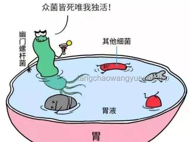 老人胃炎誤切全胃？醫院回應背后的真相與思考
