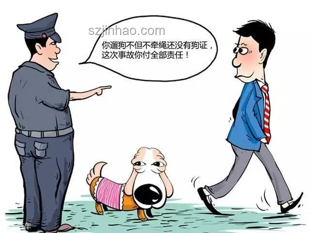 如何應對男子教唆犬只攻擊他人寵物狗：防范與應對指南