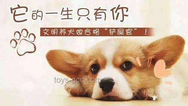 男子教唆犬只攻擊他人寵物狗：防范與應對指南