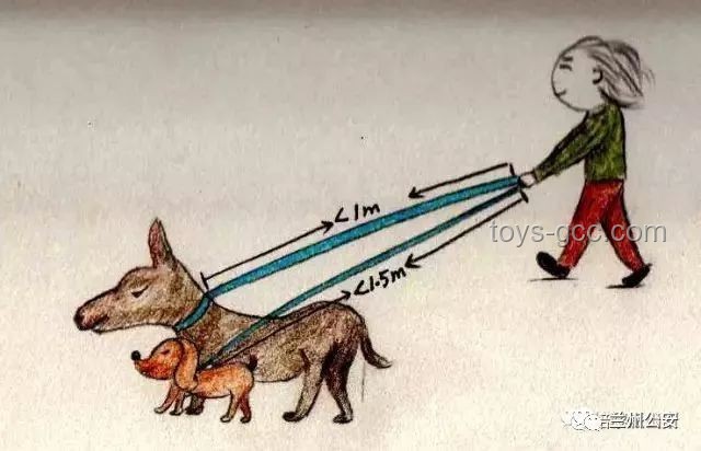 男子教唆犬只攻擊他人寵物狗：防范與應對指南