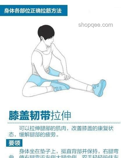 身體各部位專業拉伸方法與效果研究