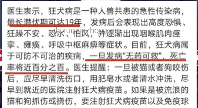 湖南惡犬事件與社區安全管理對比分析