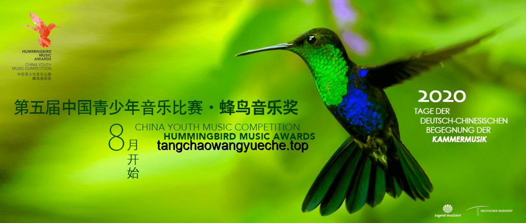 蜂鳥爭議激發(fā)音樂版權(quán)創(chuàng)新思考：跨界合作與自主創(chuàng)新的平衡