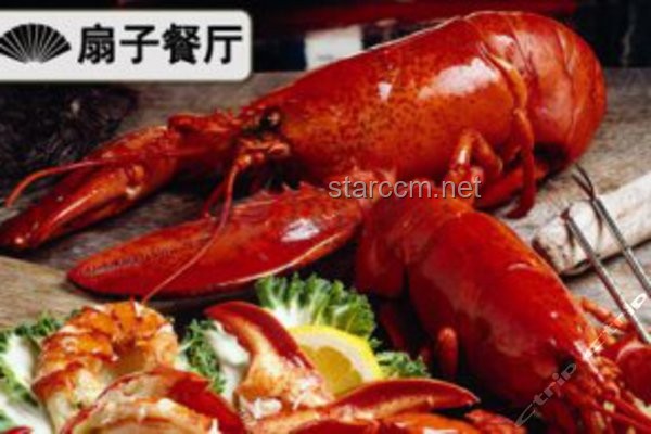龍蝦咬扇子應(yīng)對(duì)指南：安全觀賞與急救措施