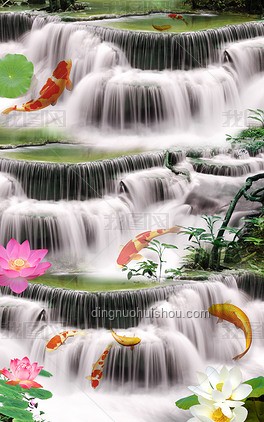 魚躍龍門西湖景，寓意堅韌與好運：網絡熱議背后的文化現象