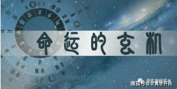 一個字解讀“帥”：魅力與風尚的奧秘