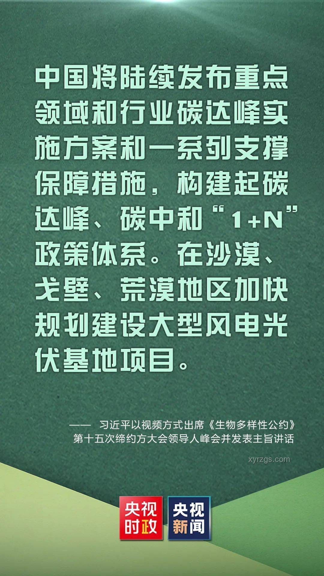 “掄語”文化興起：短劇創新趨勢預測