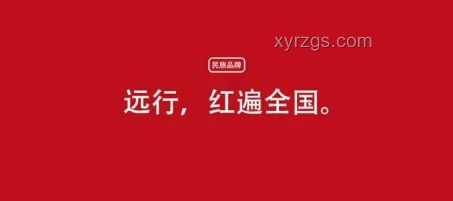 “穩健前行”與“為愛一搏”：人生選擇對比分析