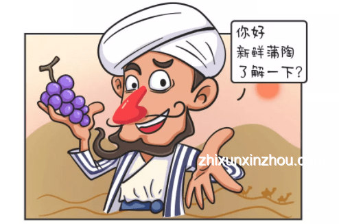 新世界征途：懶鬼水手變身，征服數(shù)字海洋新趨勢(shì)