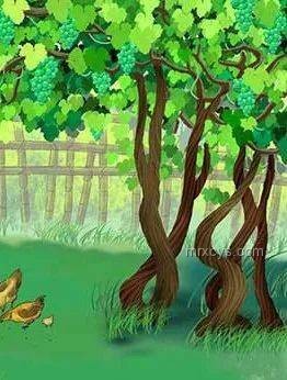 仙草奇遇：誤入仙女洗腳池的科學(xué)幻想與植物知識