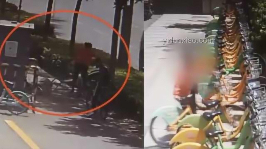 女子騎車逆行肇事逃逸處罰詳解：如何避免與應對