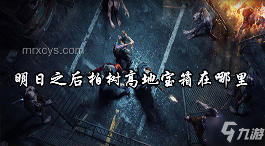 Acapella版Wellerman海盜歌的魅力探索