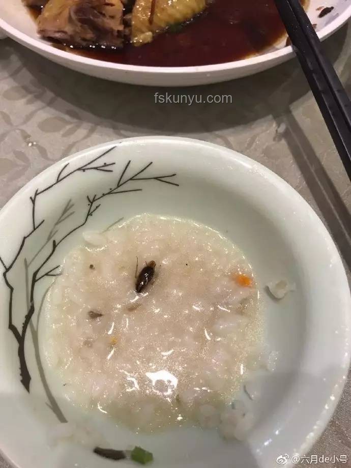 蟑螂與粥批：生活小困擾與網(wǎng)絡亞文化的碰撞