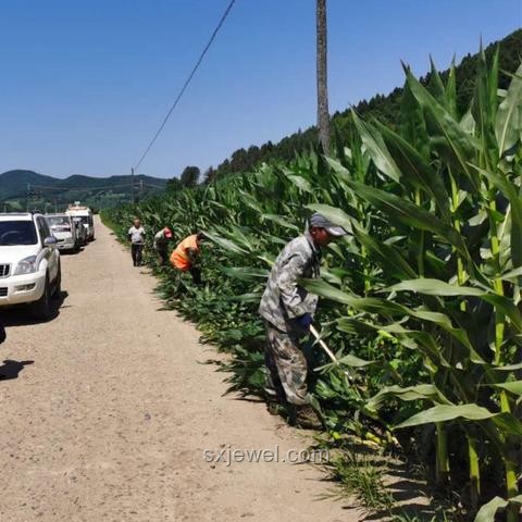 凌晨巡查與三農主播：救援行動與社會影響力對比