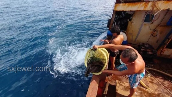 大海上撿房防潮攻略，告別潮濕被子出水困擾