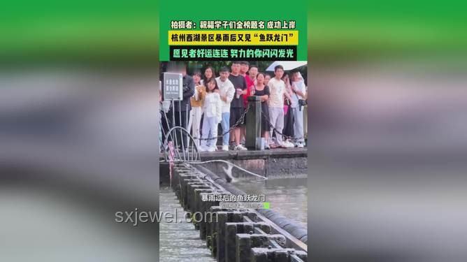 雨后西湖魚躍龍門，預示成功新趨勢？
