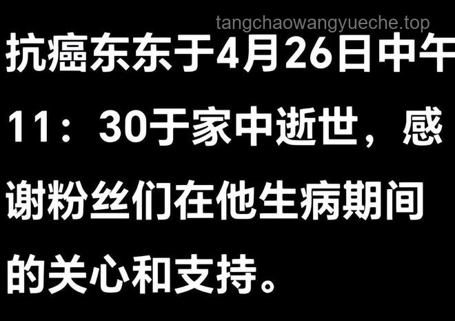 抗癌網紅去世案例對比：臨終生活態度與告別方式