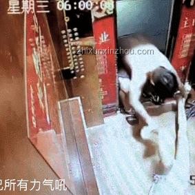 女孩乘電梯遭暴力拖拽解決方案