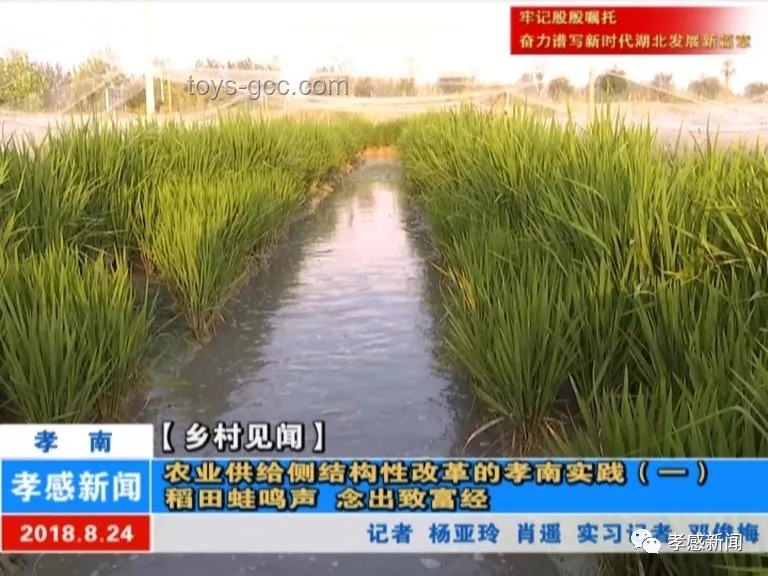 “風浪稻田”育船長：實踐與挑戰(zhàn)的案例研究