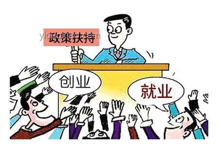 大學生虐貓事件：如何以同理心與社會責任應對