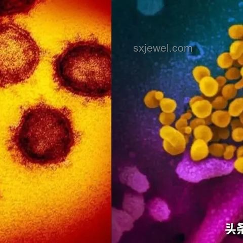 伊朗戰爭會怎么打？戰爭態勢、策略與影響深度分析