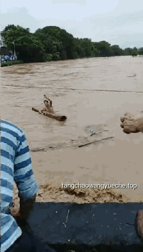 河南再迎暴雨大暴雨，防災(zāi)知識需掌握