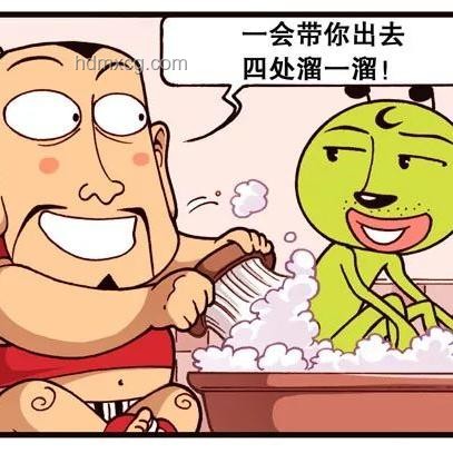 起初我只是想遛狗輕松一點(diǎn)，卻解鎖了高效遛狗秘籍