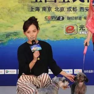 起初我只是想遛狗輕松一點(diǎn)，卻解鎖了高效遛狗秘籍