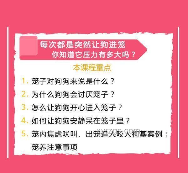 考試壓力釋然：從焦慮到“無所謂”的心態轉變案例研究