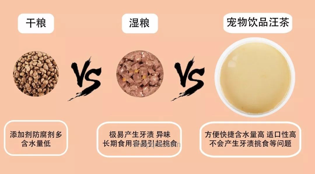 如何評(píng)價(jià)“電子寵物”大胃袋良子：健康、倫理與流量之爭(zhēng)