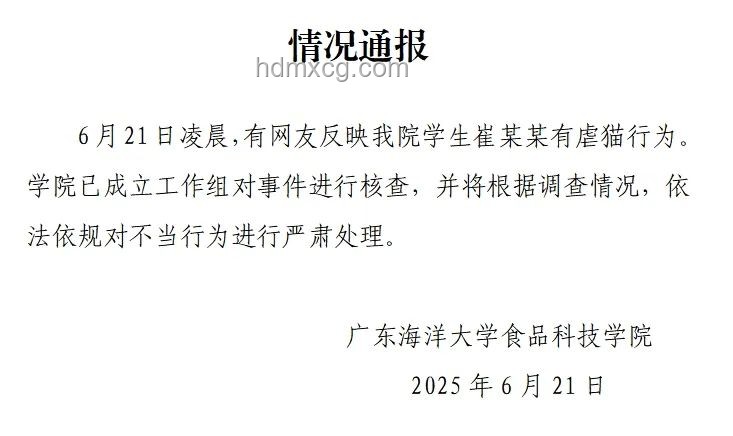 大學生虐貓事件處理與行業反思