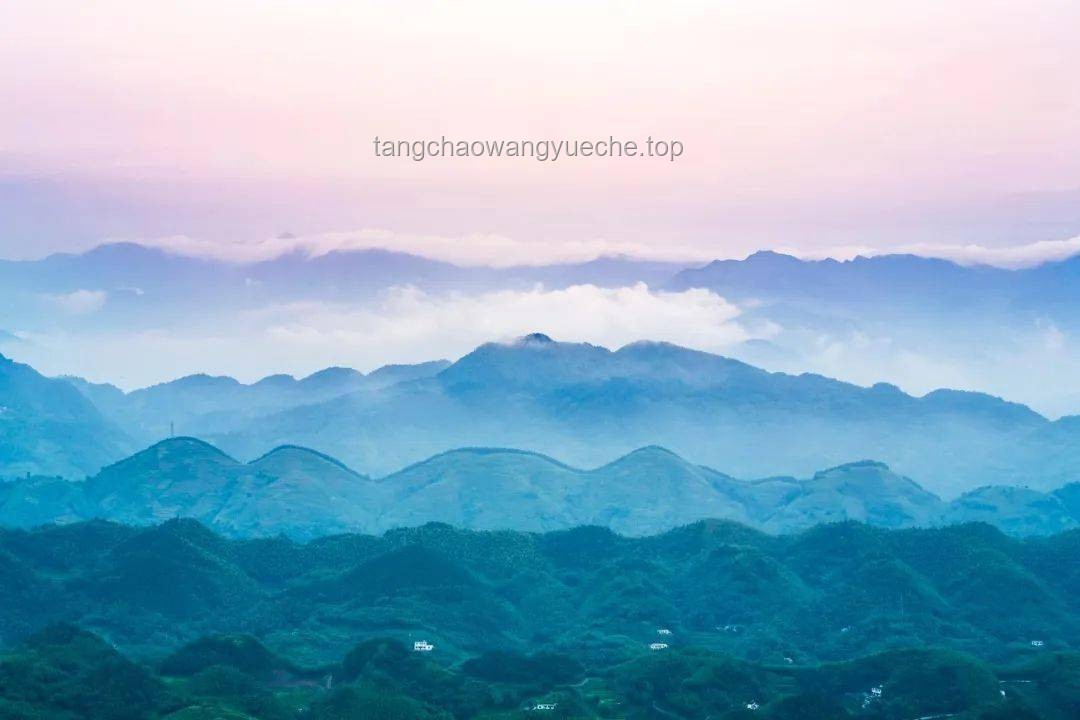 高考查分巔峰時刻應對方案，平穩度過緊張期