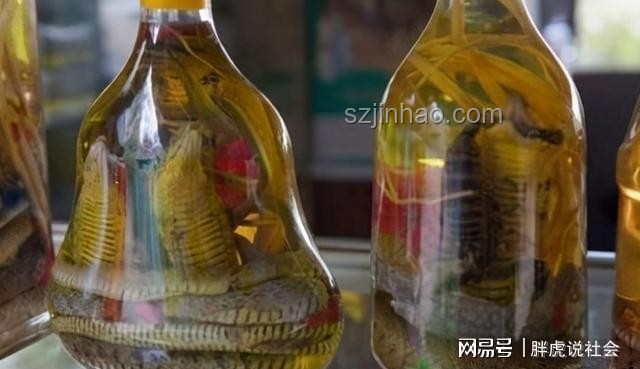 家里藏著的寶貝老酒，你發(fā)現(xiàn)了嗎？??,古董酒,價(jià)值連城,收藏秘訣,情懷滿滿
