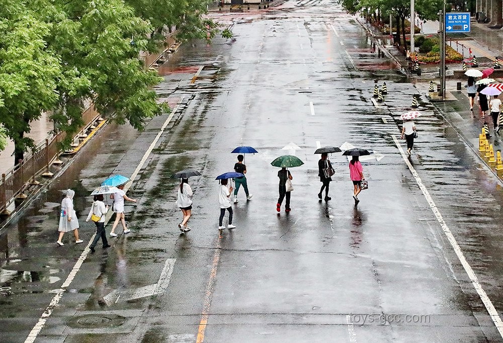 雨天臨時閉園，不期而遇的小確幸?????