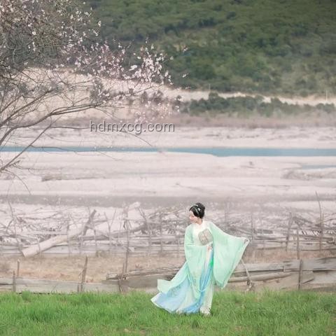 《長安的荔枝》大結局深度解析：荔枝樹命運與李善德的經濟決策