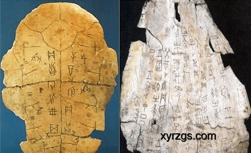 顛覆歷史：亞馬遜考古發現巨大骨灰甕的深度分析