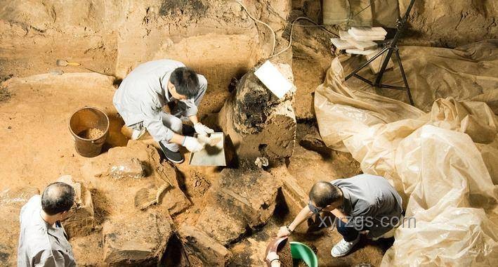 顛覆歷史：亞馬遜考古發現巨大骨灰甕的深度分析