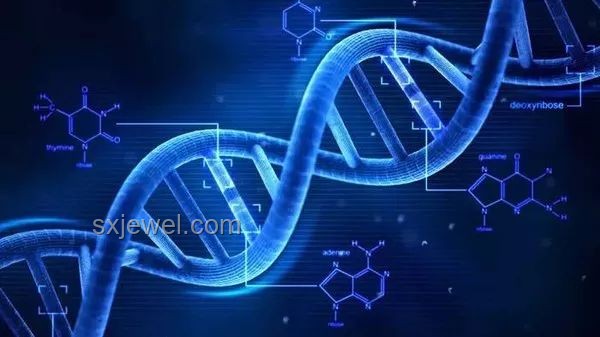 74歲奇跡懷孕挑戰(zhàn)認(rèn)知，跨界探索生命奧秘與創(chuàng)新邊界