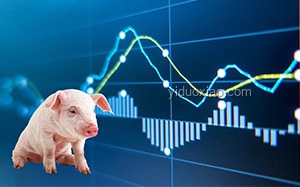 珍稀肉類營養(yǎng)新發(fā)現：拓寬食品邊界，探索未被充分認知的營養(yǎng)價值