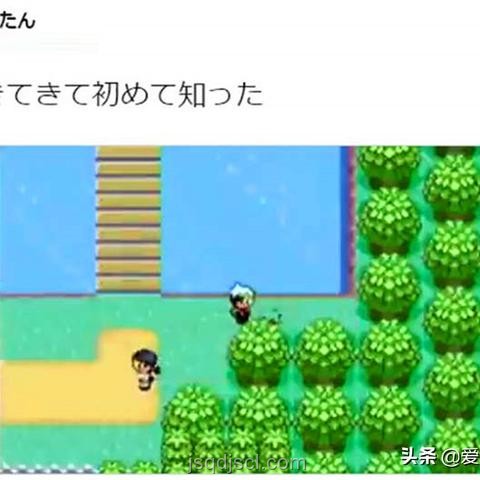 精靈寶可夢未來趣味冷知識趨勢預測