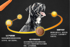 聊城老板秦華：賣貓狗糧成就230億身家的深度剖析
